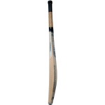 Rs Robinson Gold English Willow Cricket Bat (SH)